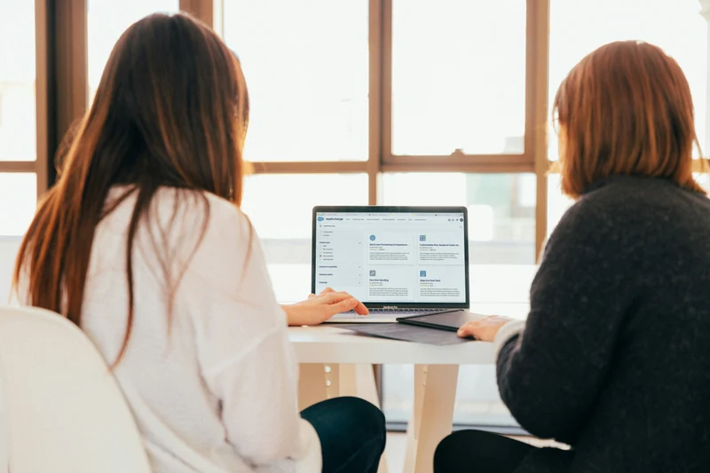 Palm Consulting team member at work